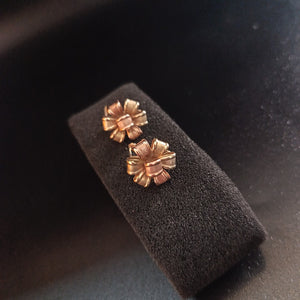 ARETES PAR ORO 10 K 3.2 GRMS (SEMINUEVO)