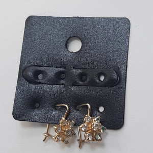 ARETES PAR ORO 10 K 2.1 GRMS (SEMINUEVO)