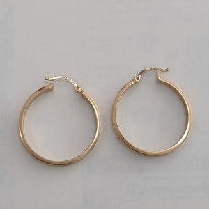 ARRACADAS PAR ORO 10 K 3 GRMS (SEMINUEVO)