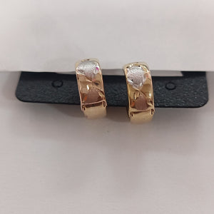ARRACADAS PAR ORO 14 K 1.4 GRMS (SEMINUEVO)