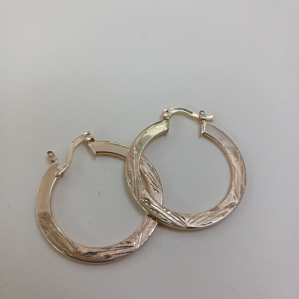 ARRACADAS PAR ORO 10 K 2.5 GRMS (SEMINUEVO)