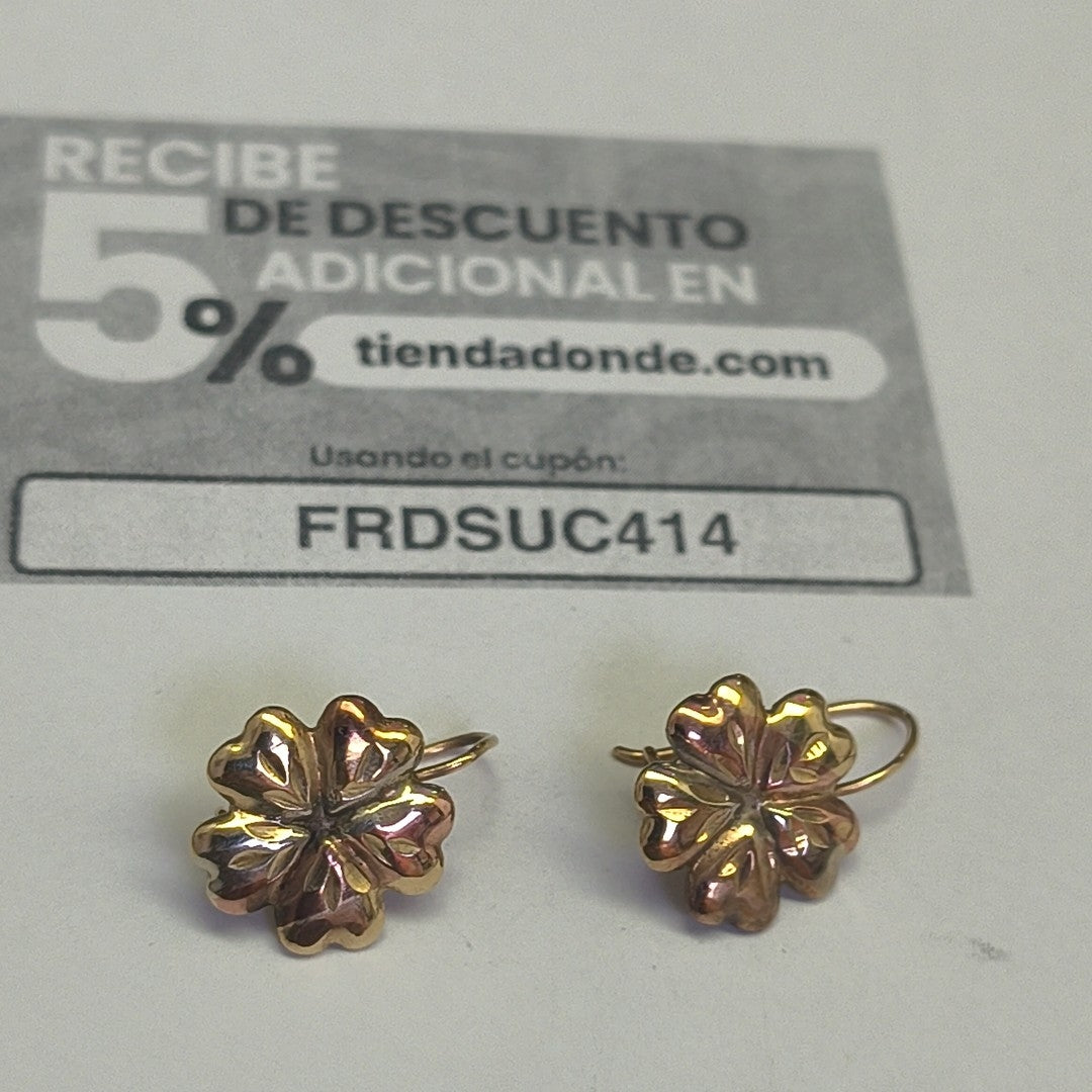 ARETES PAR ORO 10 K 1,40 GRMS (SEMINUEVO)