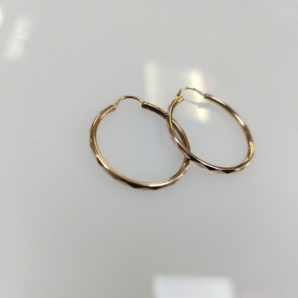 ARRACADAS PAR ORO 10 K 1.4 GRMS (SEMINUEVO)
