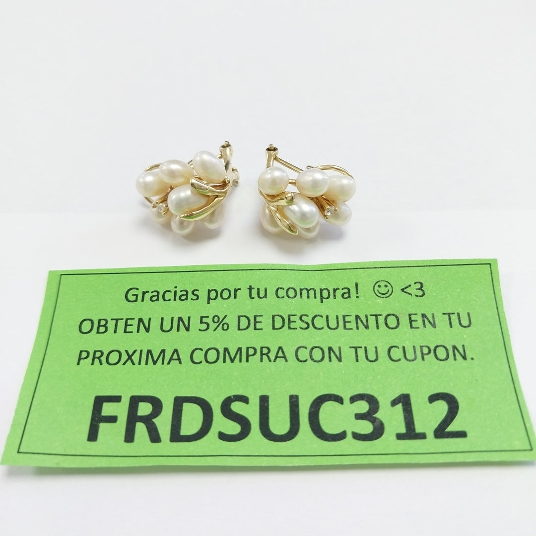 ARETES PAR ORO 10 K 5.4 GRMS (SEMINUEVO)