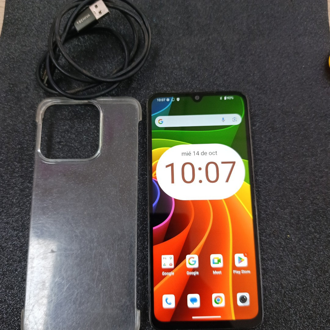 CELULAR OTRAS MARCAS OTROS MODELOS 256 GB 4 GB RAM (SEMINUEVO)