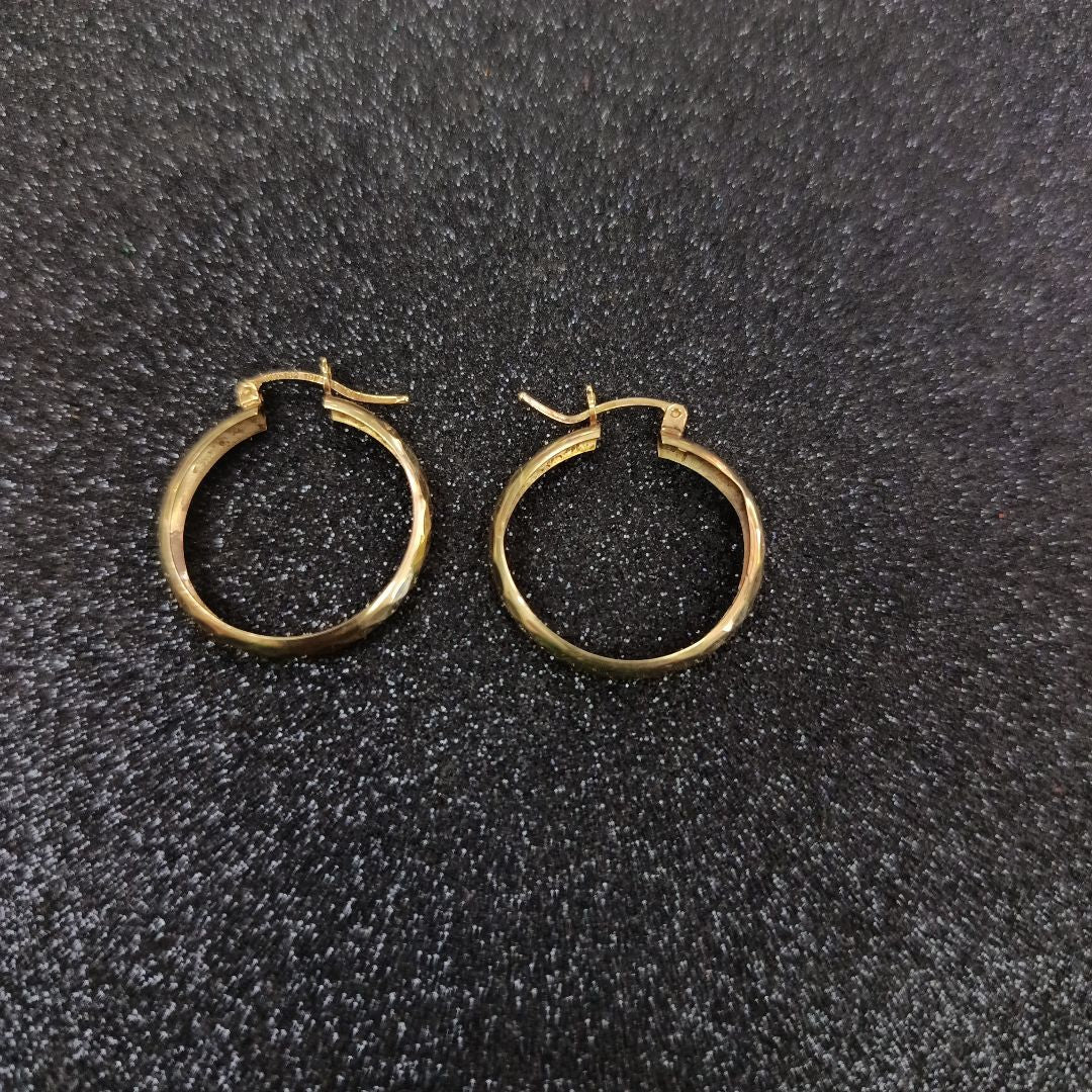 ARRACADAS PAR ORO 10 K 2 GRMS (SEMINUEVO)