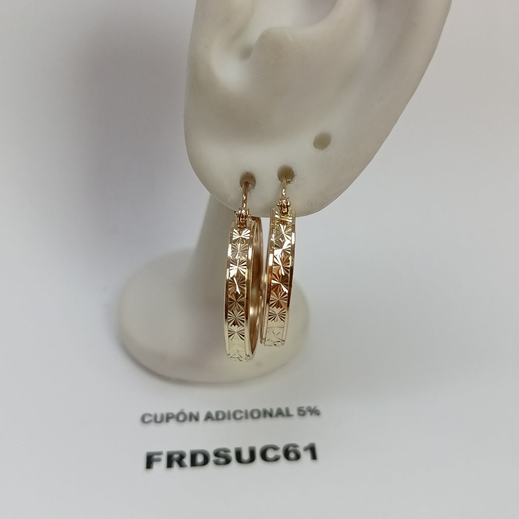 ARETES PAR ORO 10 K 2.7 GRMS (SEMINUEVO)