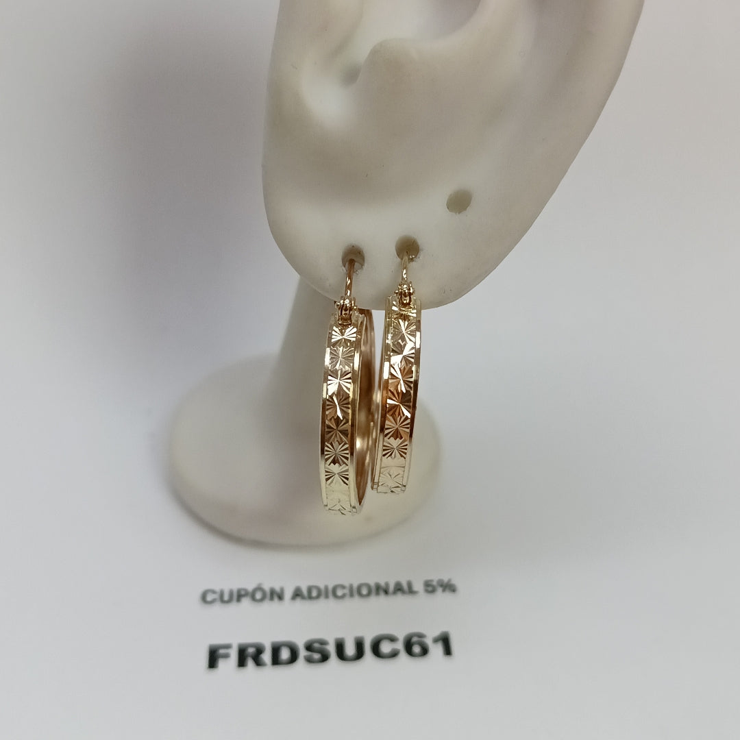 ARETES PAR ORO 10 K 2.7 GRMS (SEMINUEVO)