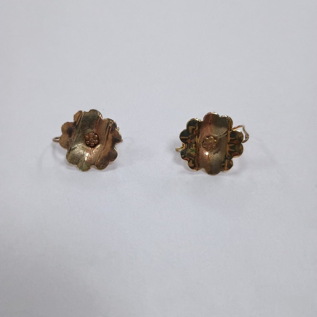 ARETES PAR ORO 10 K 1.2 GRMS (SEMINUEVO)