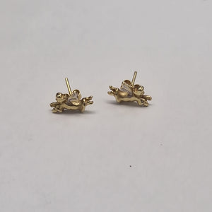 ARETES PAR ORO 14 K 1.9 GRMS (SEMINUEVO)