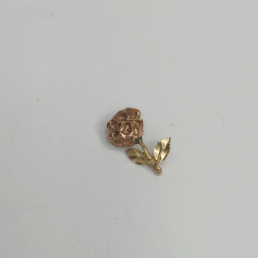 DIJE ORO 10 K 0,60 GRMS (SEMINUEVO)