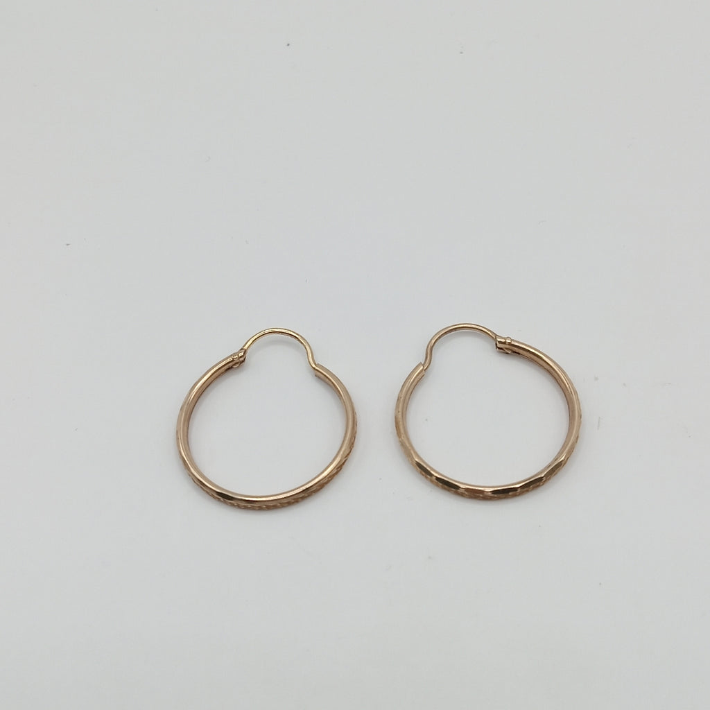 ARRACADAS PAR ORO 10 K 1.6 GRMS (SEMINUEVO)