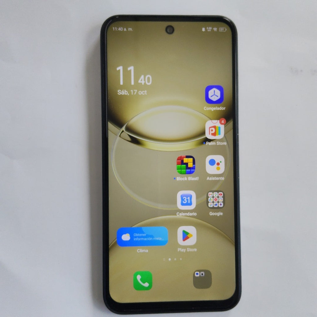 CELULAR OTRAS MARCAS OTROS MODELOS 256 GB 8 GB RAM (SEMINUEVO)