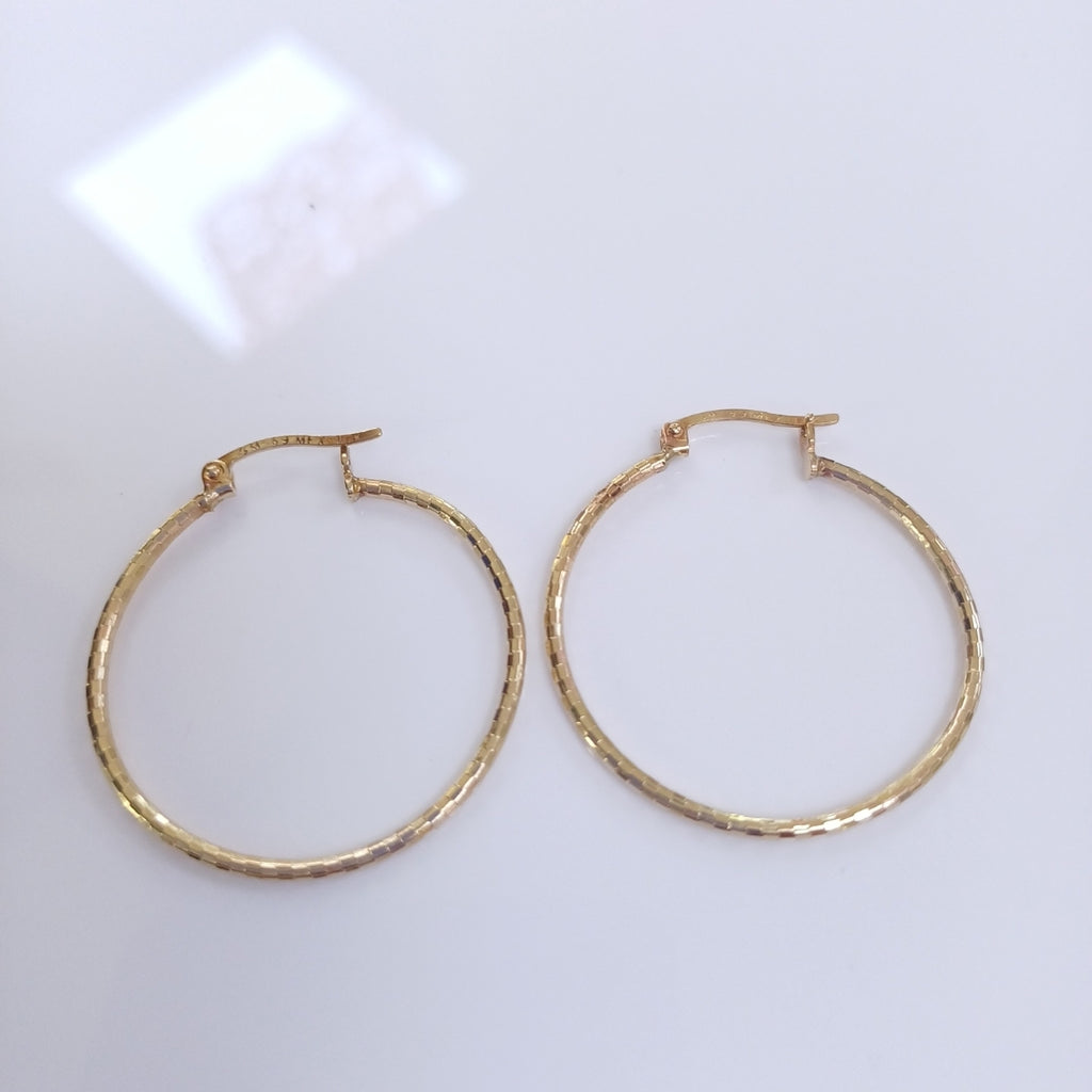 ARRACADAS PAR ORO 10 K 1.6 GRMS (SEMINUEVO)