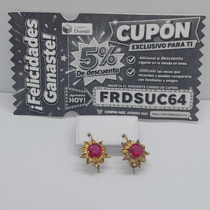 ARETES PAR ORO 10 K 3.6 GRMS (SEMINUEVO)