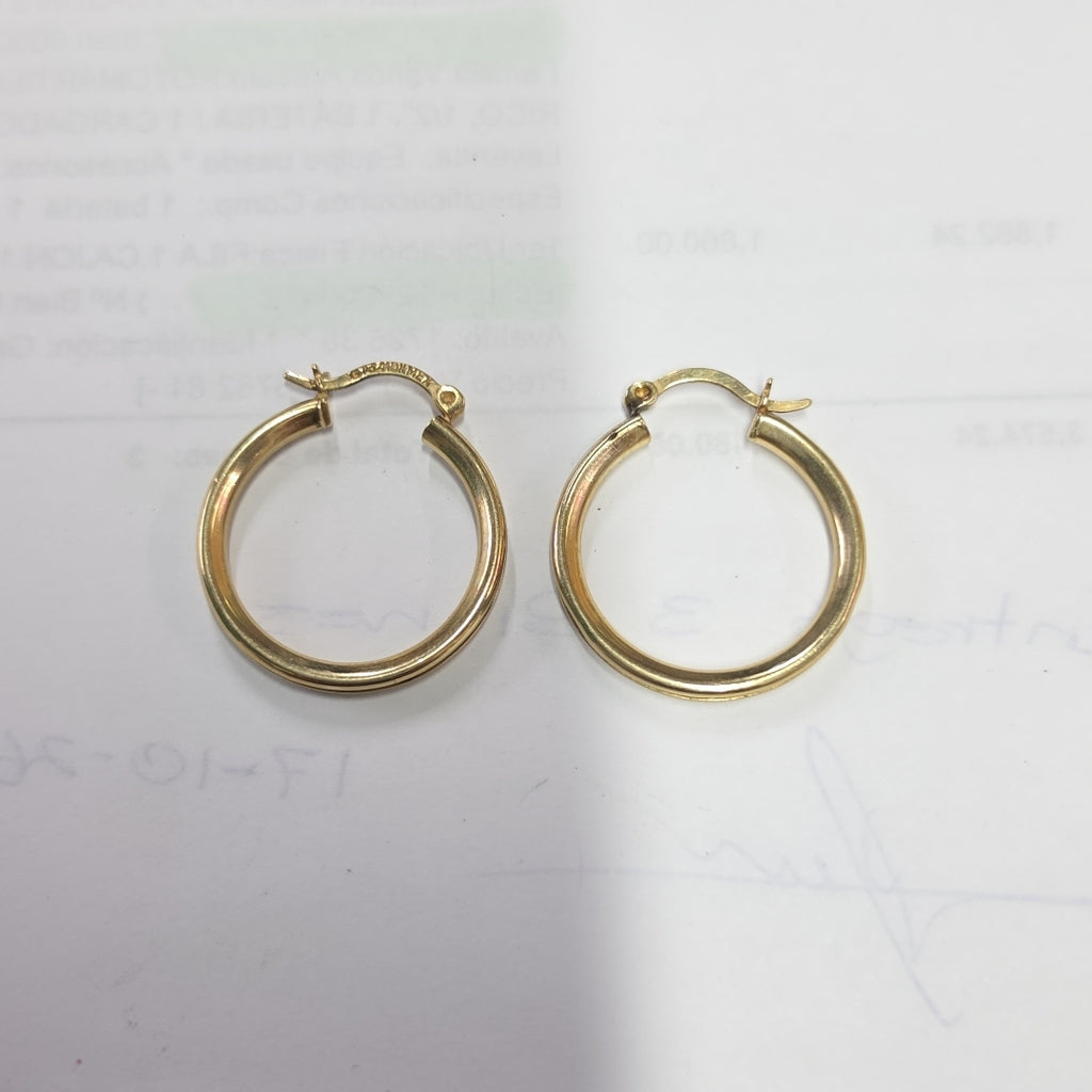 ARETES PAR ORO 10 K 3.6 GRMS (SEMINUEVO)