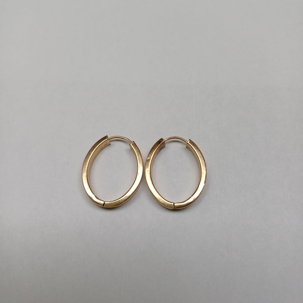 ARRACADAS PAR ORO 10 K 2.9 GRMS (SEMINUEVO)