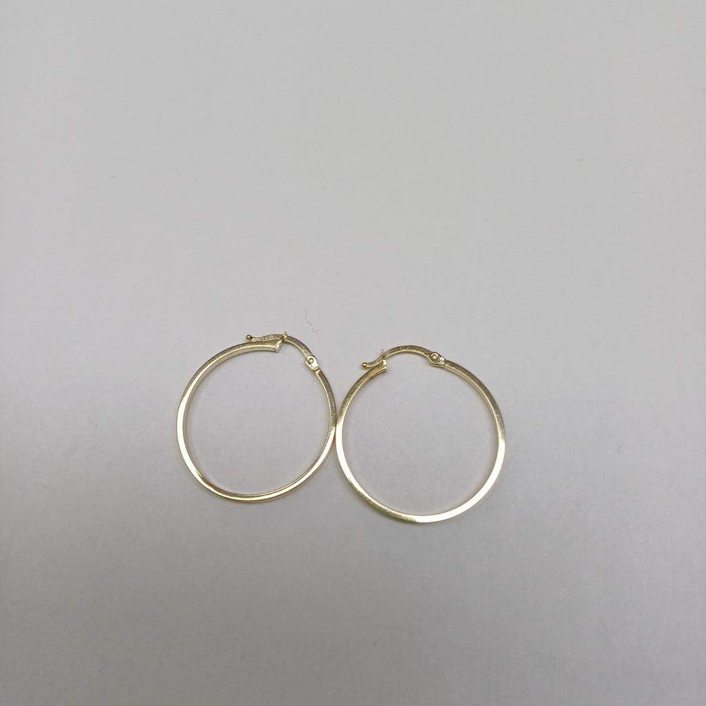 ARRACADAS PAR ORO 14 K 1.4 GRMS (SEMINUEVO)