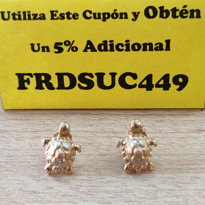BROQUELES PAR ORO 14 K 3.1 GRMS (SEMINUEVO)