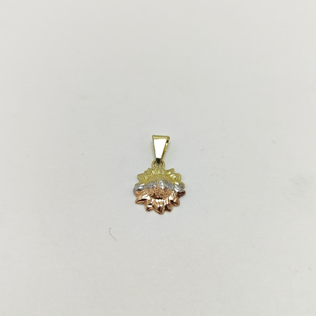 DIJE ORO, ORO COMBINADO 10 K 0.3 GRMS (SEMINUEVO)