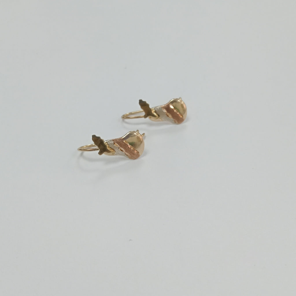ARETES PAR ORO 10 K 0,90 GRMS (SEMINUEVO)