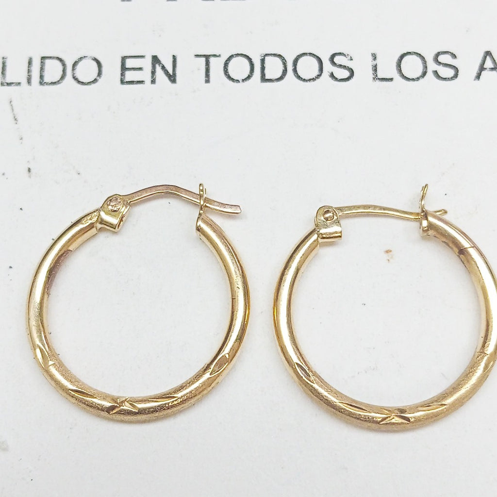 ARRACADAS PAR ORO 10 K 1.6 GRMS (SEMINUEVO)