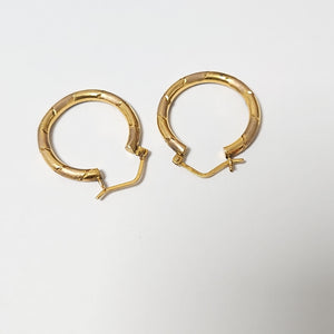 ARETES PAR ORO 10 K 2,90 GRMS (SEMINUEVO)