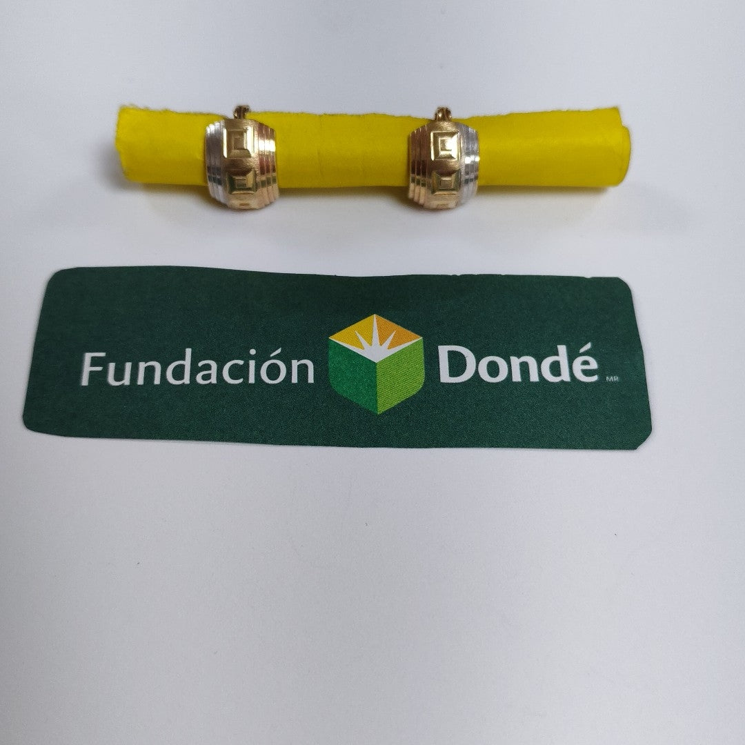 ARETES PAR ORO 10 K 2.3 GRMS (SEMINUEVO)