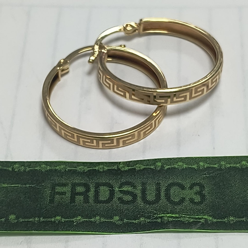 ARRACADAS PAR ORO 10 K 1.6 GRMS (SEMINUEVO)