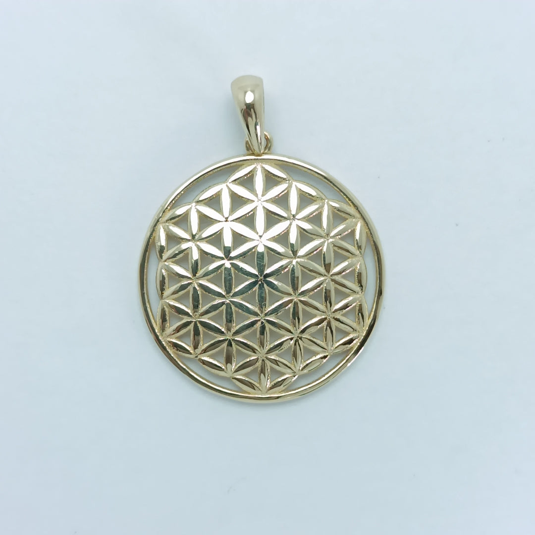 DIJES ORO 14K 1.6 (NUEVO)