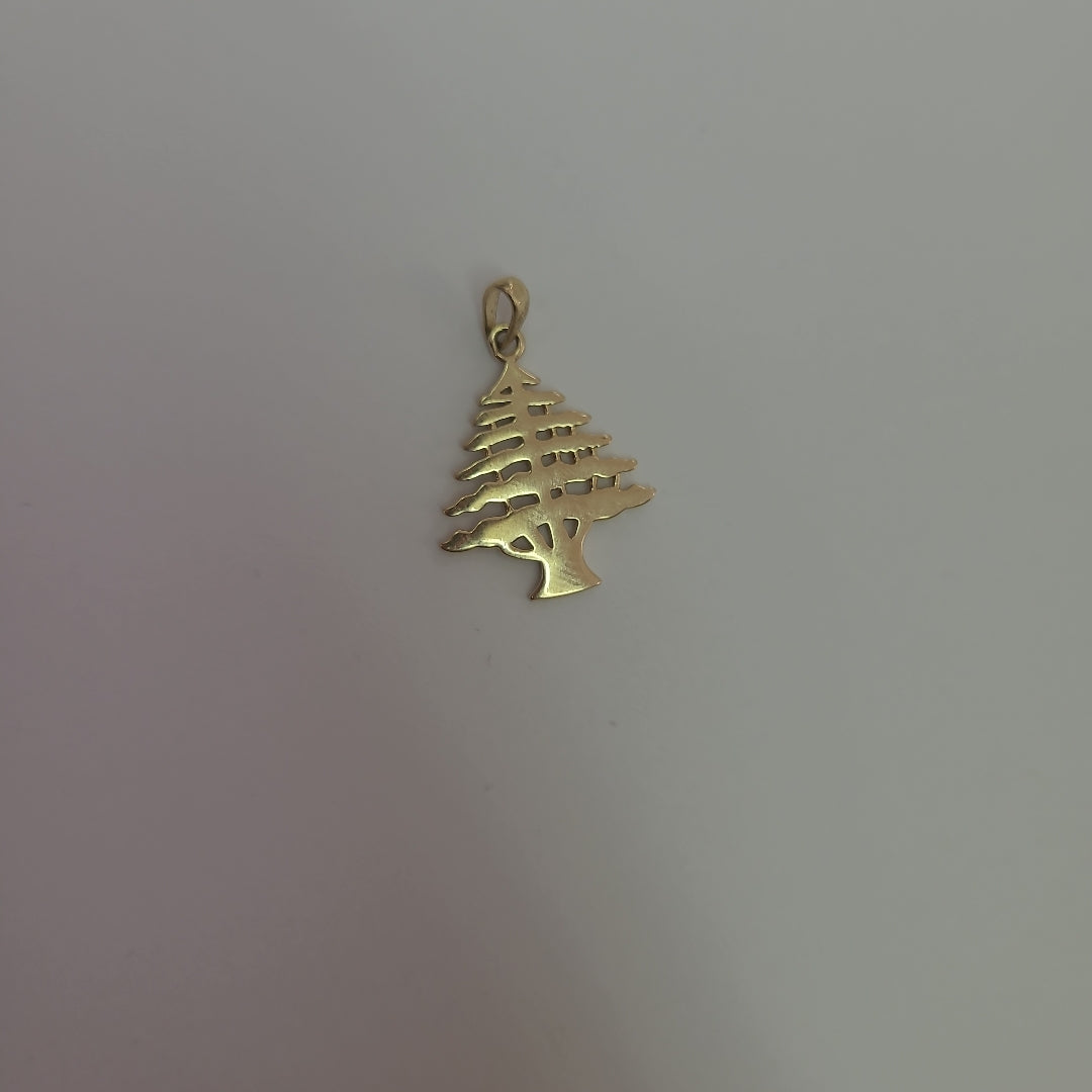 DIJES ORO 14K 1.4 (NUEVO)