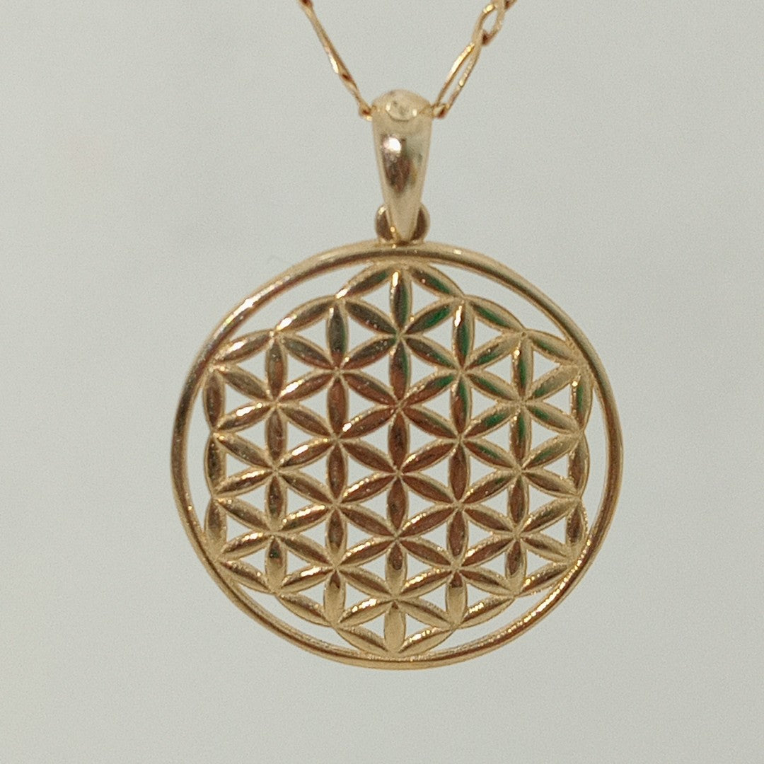 DIJES ORO 14K 1.6 (NUEVO)