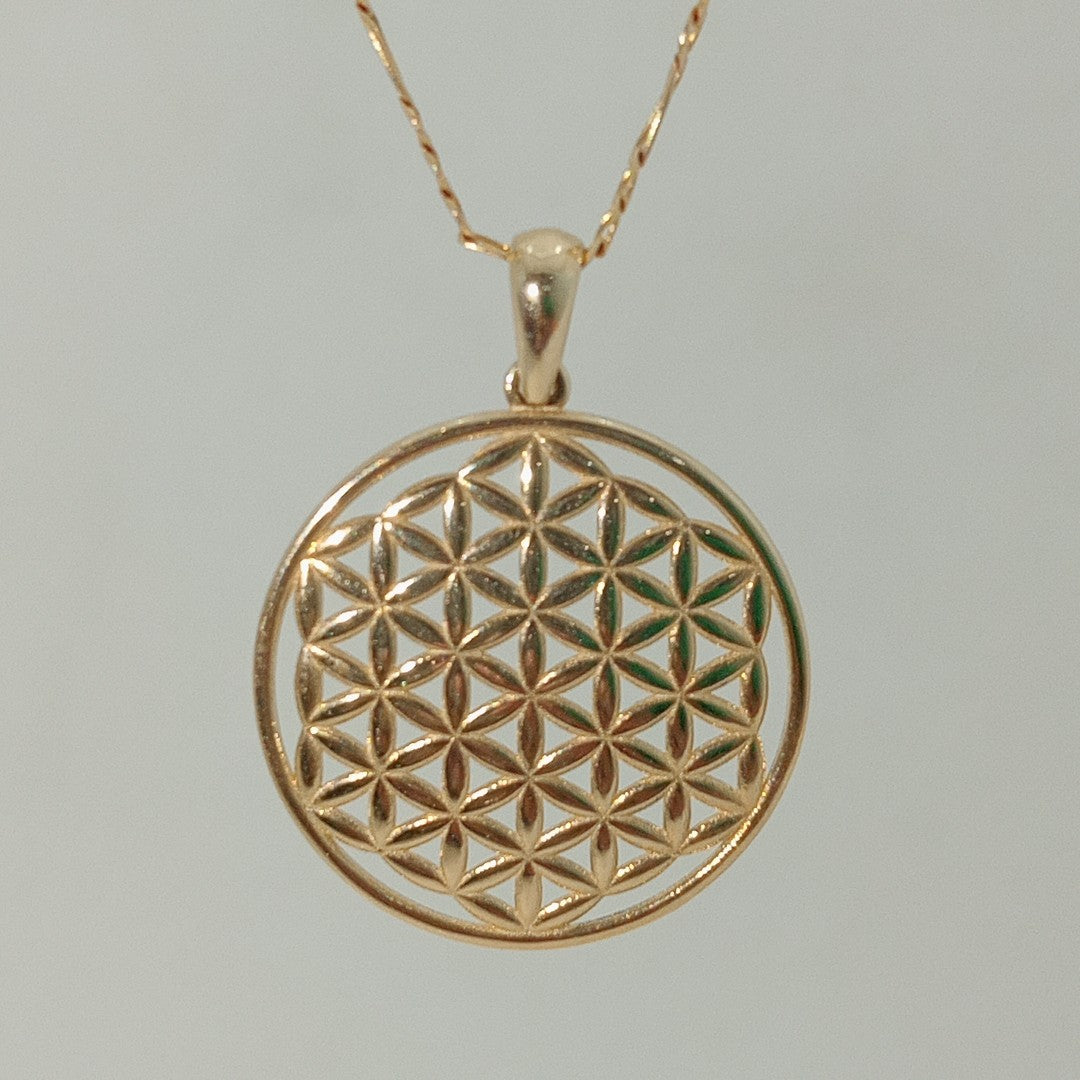 DIJES ORO 14K 1.6 (NUEVO)