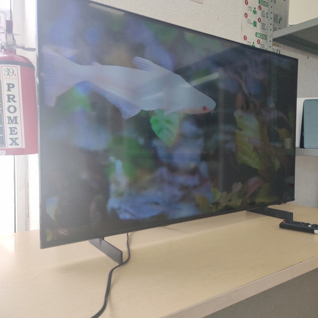 PANTALLA SAMSUNG UN43AU8000F (2021) 43" LED 4K (SEMINUEVO)