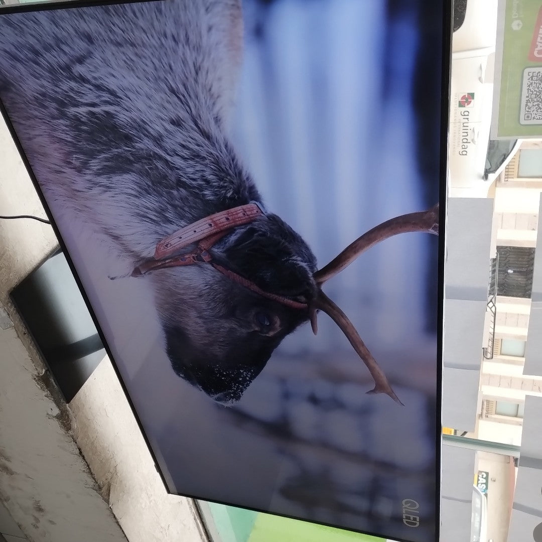PANTALLA SAMSUNG QN55Q65DAF (2024) 55" QLED 4K (SEMINUEVO)