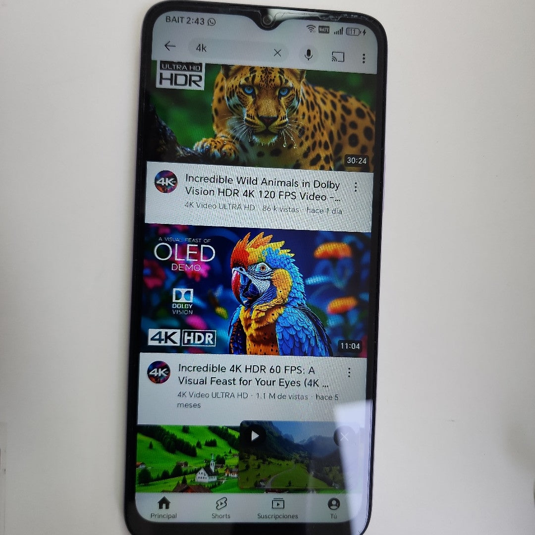 CELULAR HONOR X5B PLUS GFY-LX3 (2024) 256 GB 4 GB RAM (SEMINUEVO)
