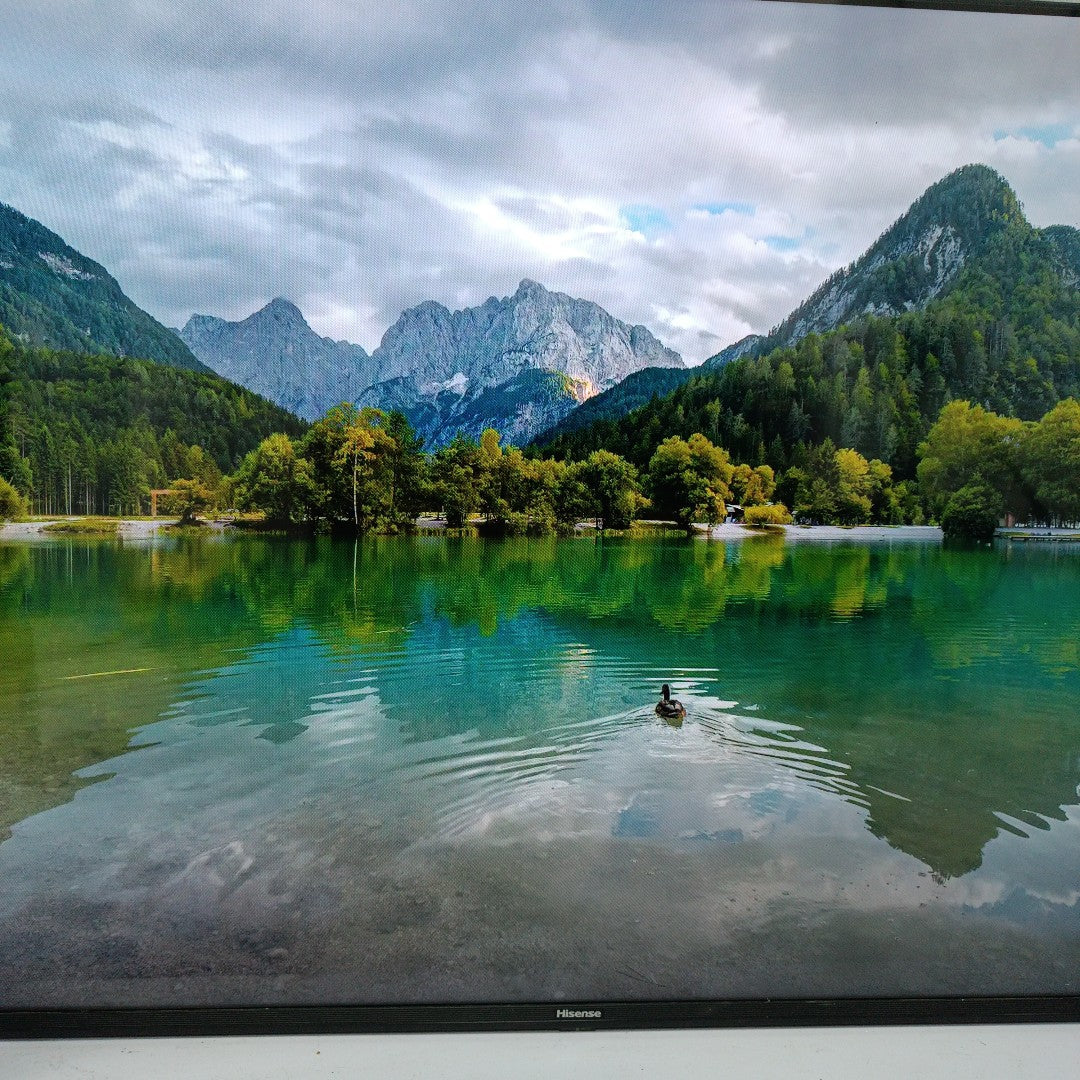 PANTALLA HISENSE 50A65K (2023) 50" LED 4K (SEMINUEVO)