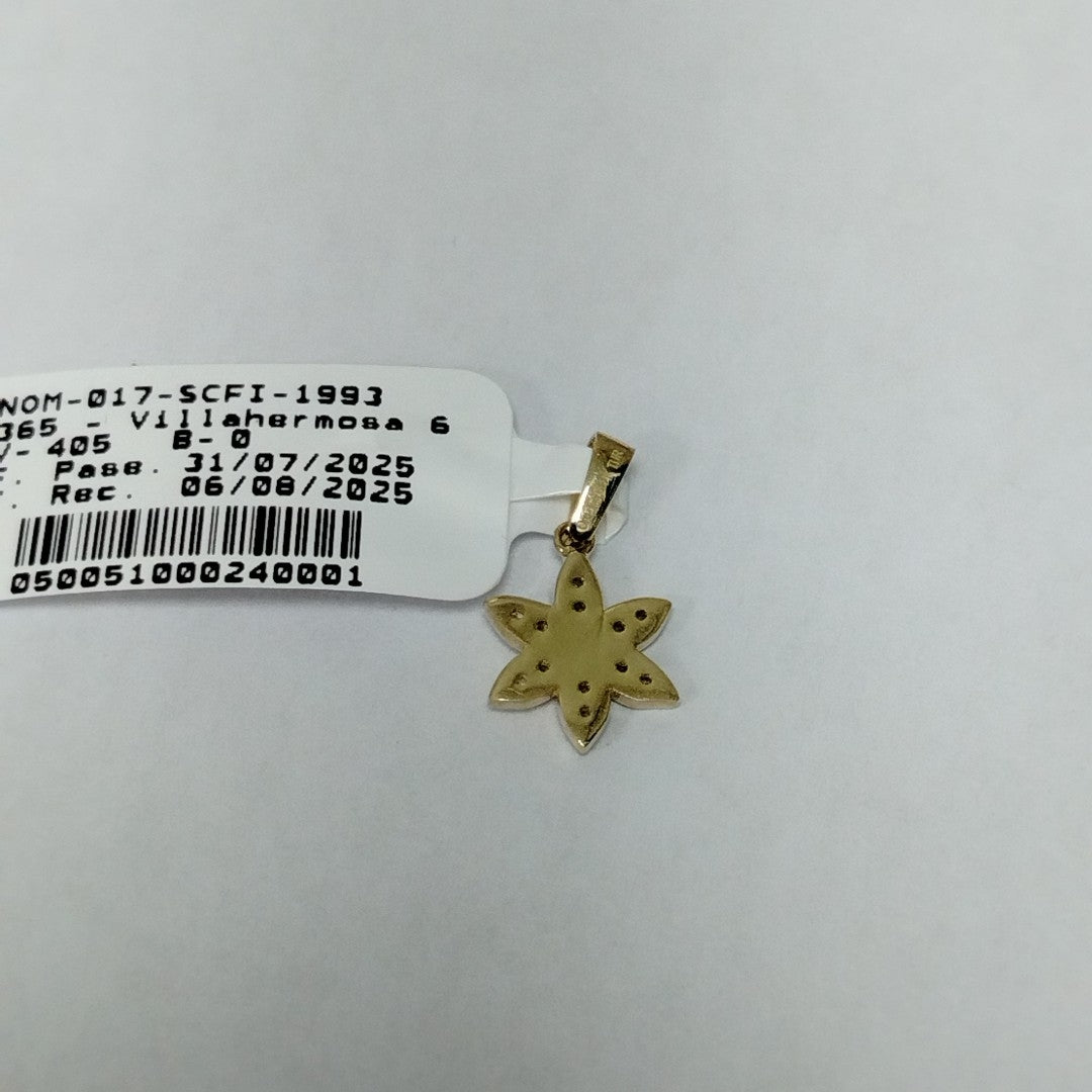 DIJES ORO 14K 1 (NUEVO)