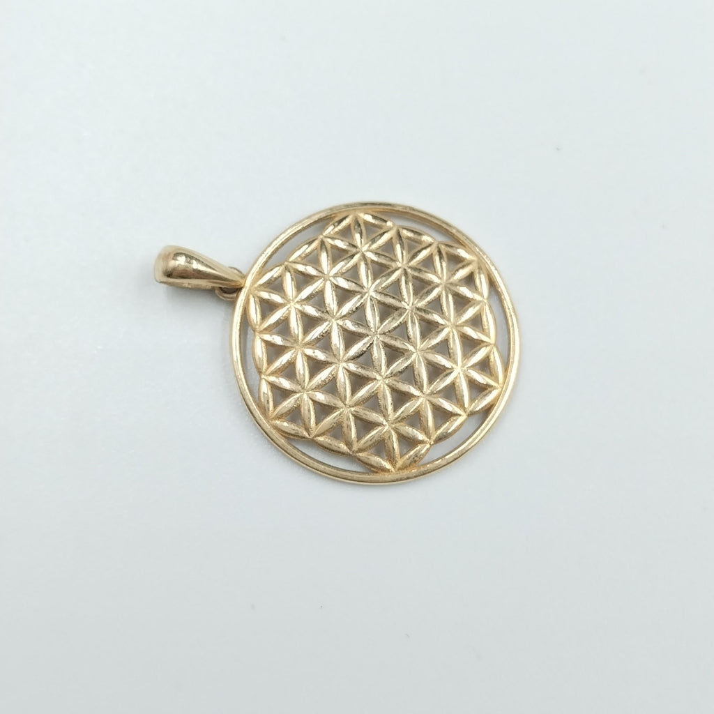 DIJES ORO 14K 1.6 (NUEVO)