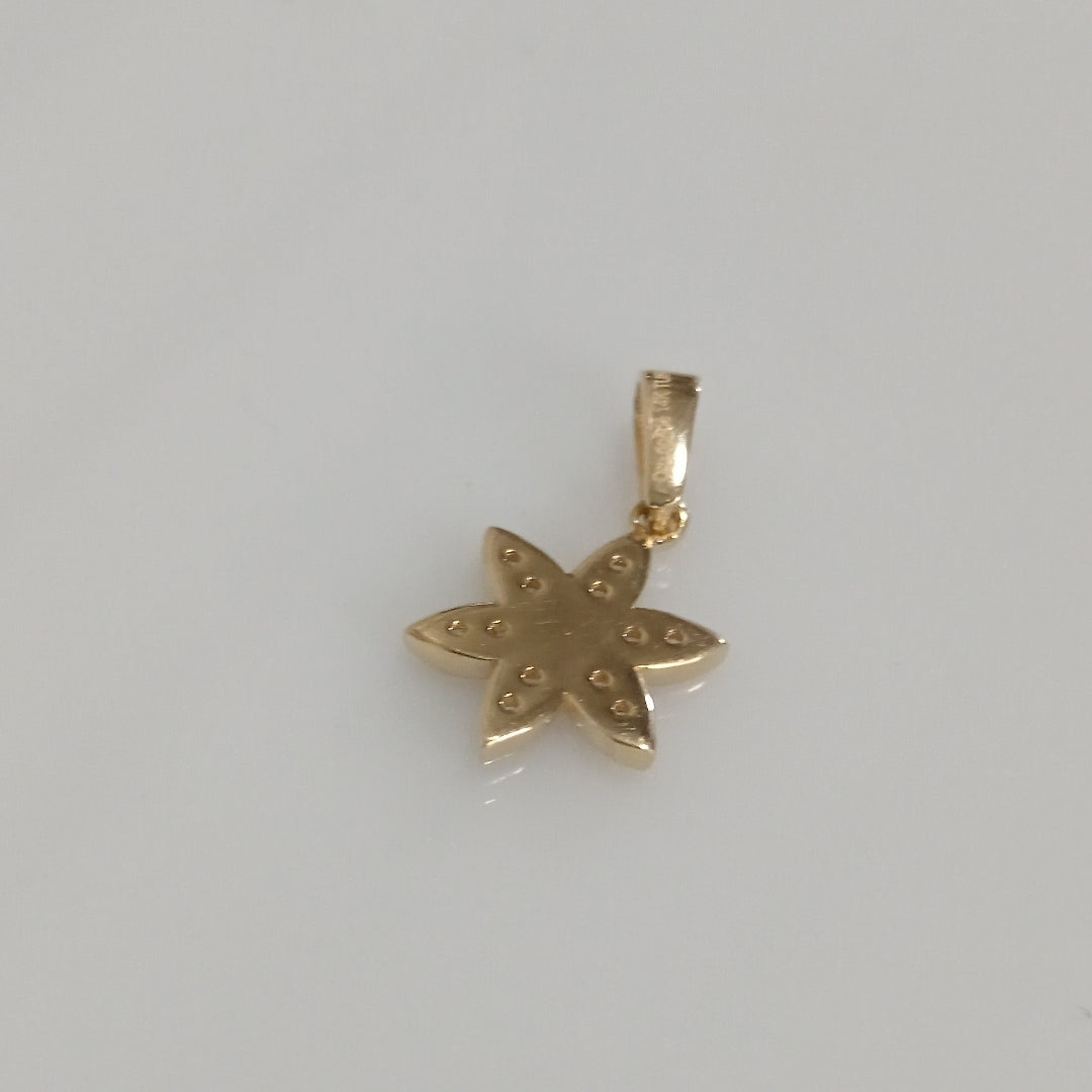 DIJES ORO 14K 1.1 (NUEVO)