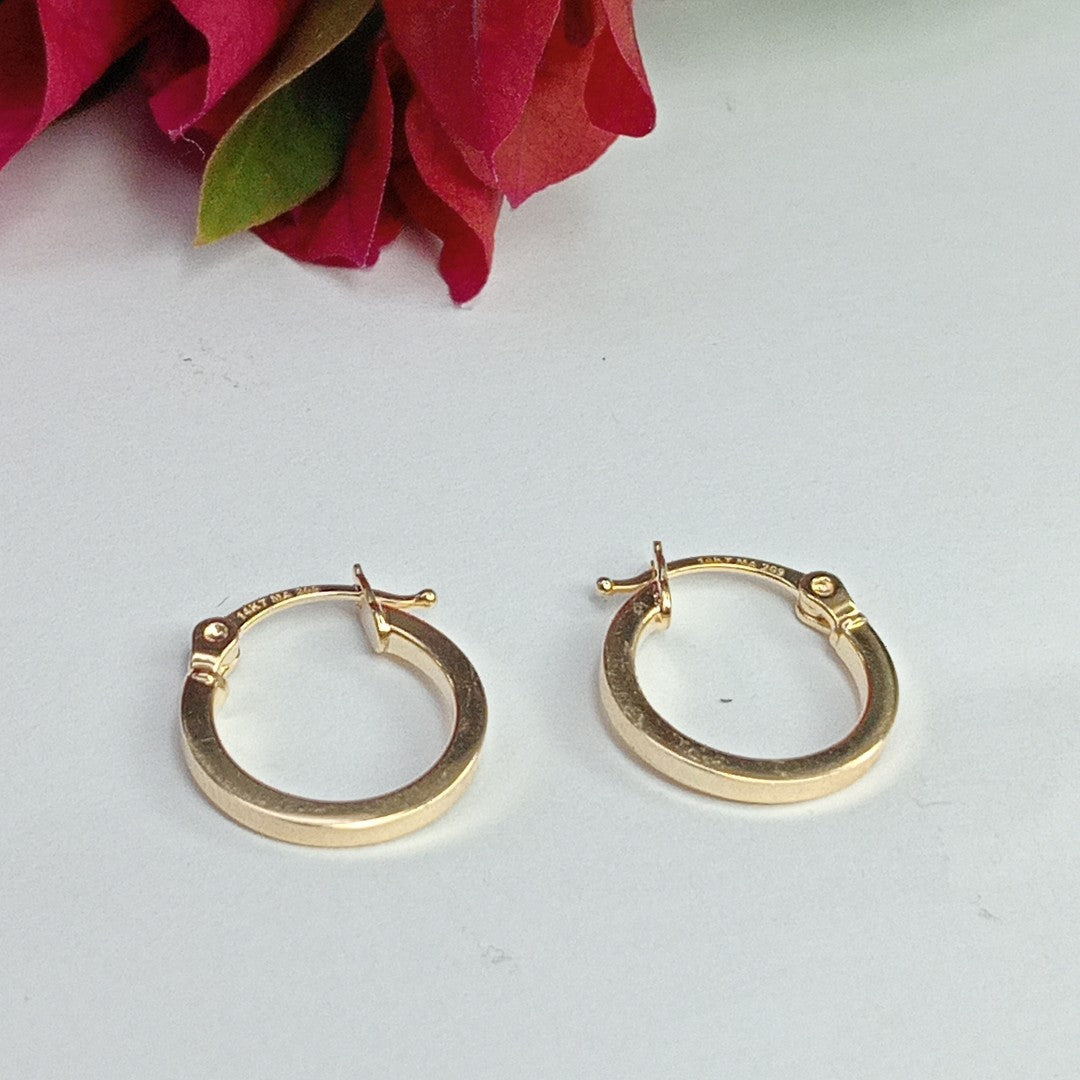 ARRACADAS ORO 14K 1 (NUEVO)