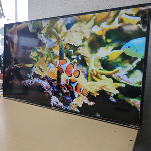 PANTALLA ATVIO ATV-42FHDR 42" FULL HD (SEMINUEVO)