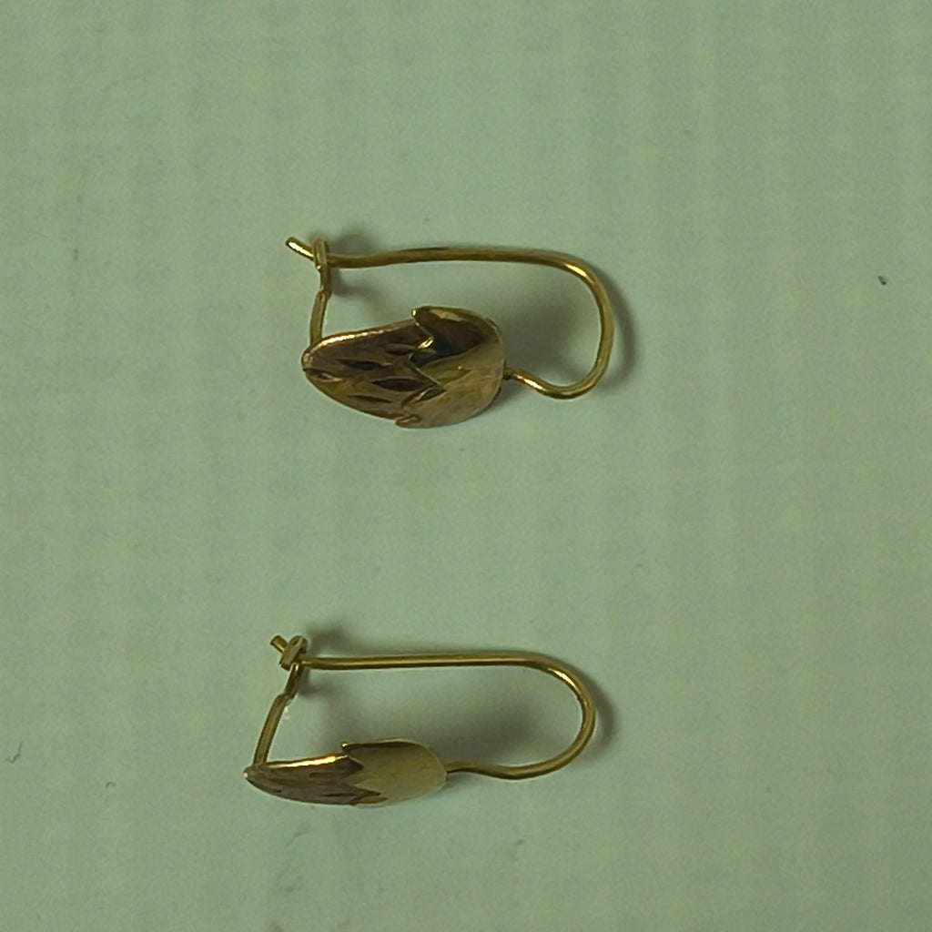 ARETES PAR ORO 10 K 1,00 GRMS (SEMINUEVO)