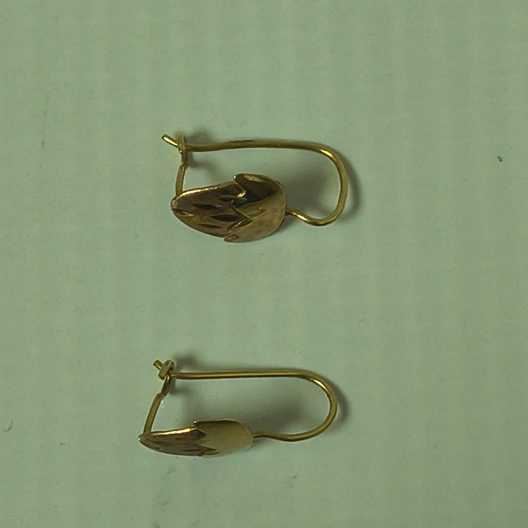 ARETES PAR ORO 10 K 1,00 GRMS (SEMINUEVO)