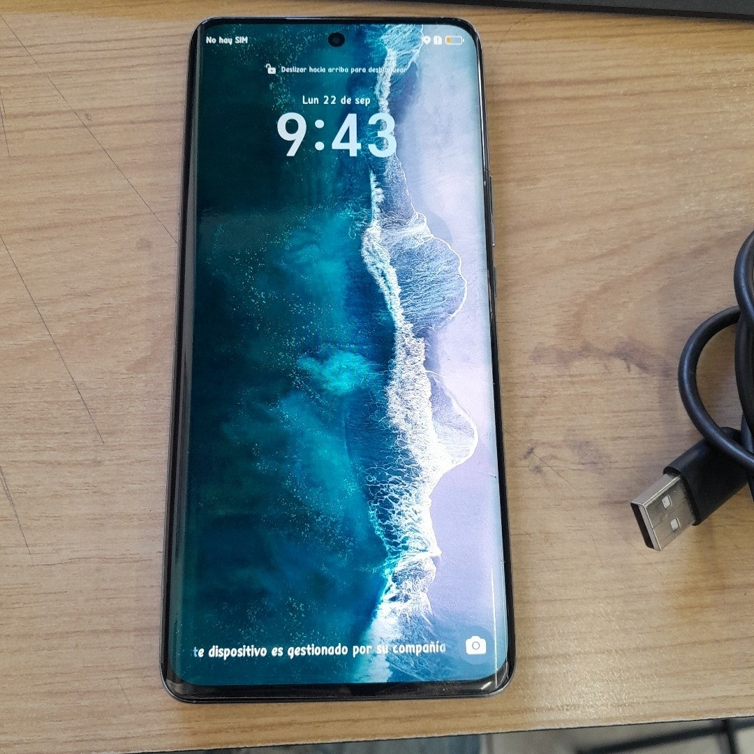 CELULAR HONOR X9C BRP-NX3 (2024) 256 GB 8 GB RAM