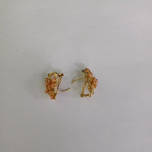 ARETES PAR. ORO. 14 K 4.6 GRMS (SEMINUEVO)