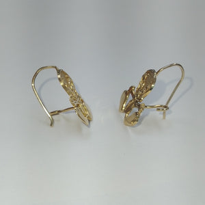 ARETES PAR. ORO. 10 K 1.9 GRMS (SEMINUEVO)
