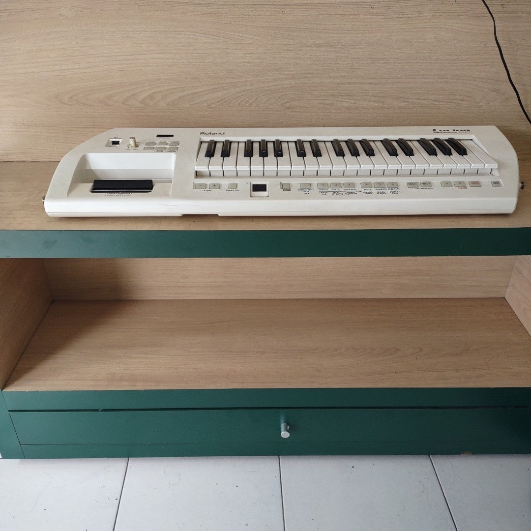 SINTETIZADOR ROLAND AX-09 PANTALLA LCD 56 TECLAS (SEMINUEVO)