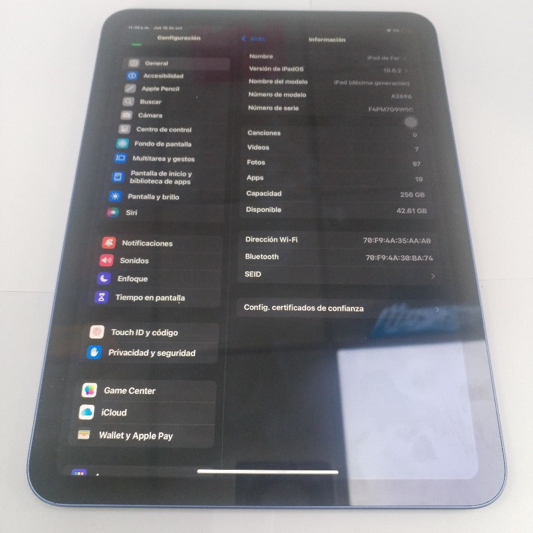TABLETA APPLE IPAD 10 A2696 256 GB 4 GB RAM (SEMINUEVO)