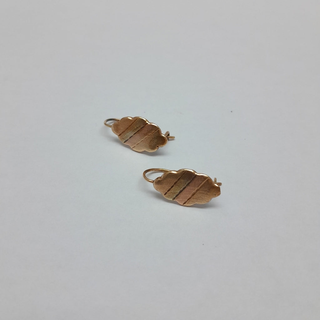 ARETES PAR. ORO. 8 K 1 GRMS (SEMINUEVO)